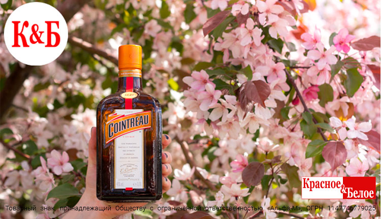 куантро 630х.jpg